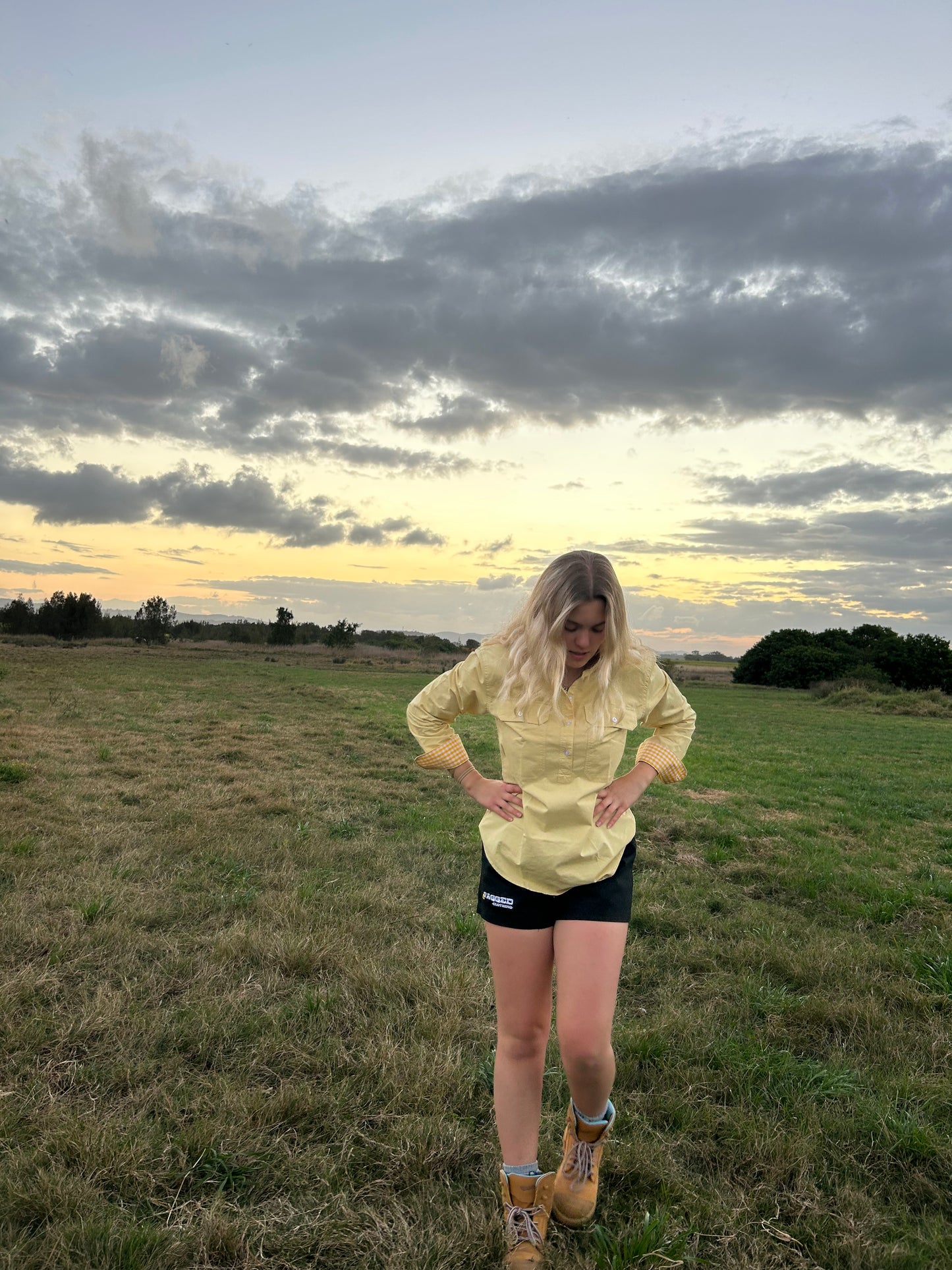 Ladies Work Shirt - Lemon