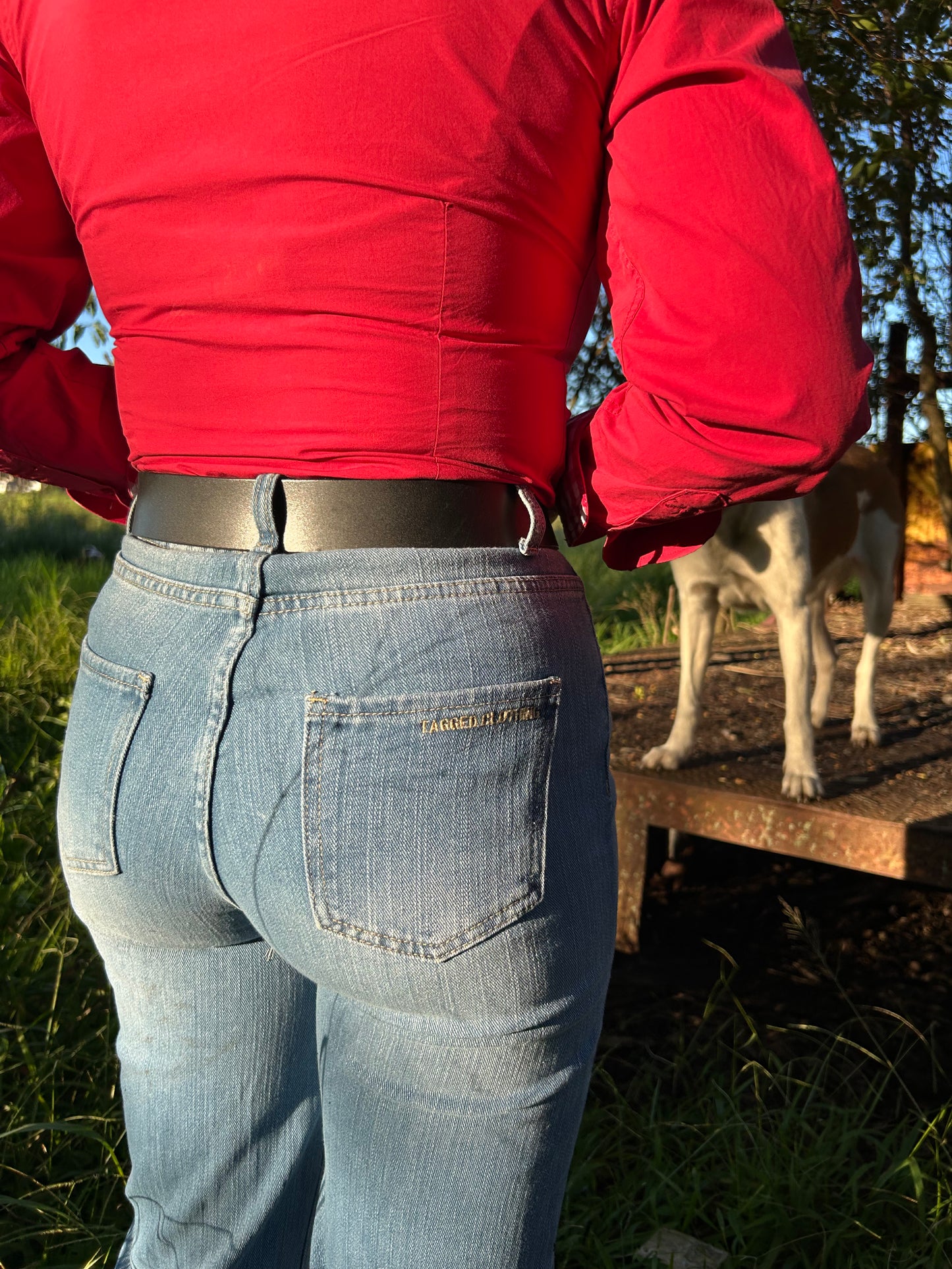Willow Wide Leg Jeans