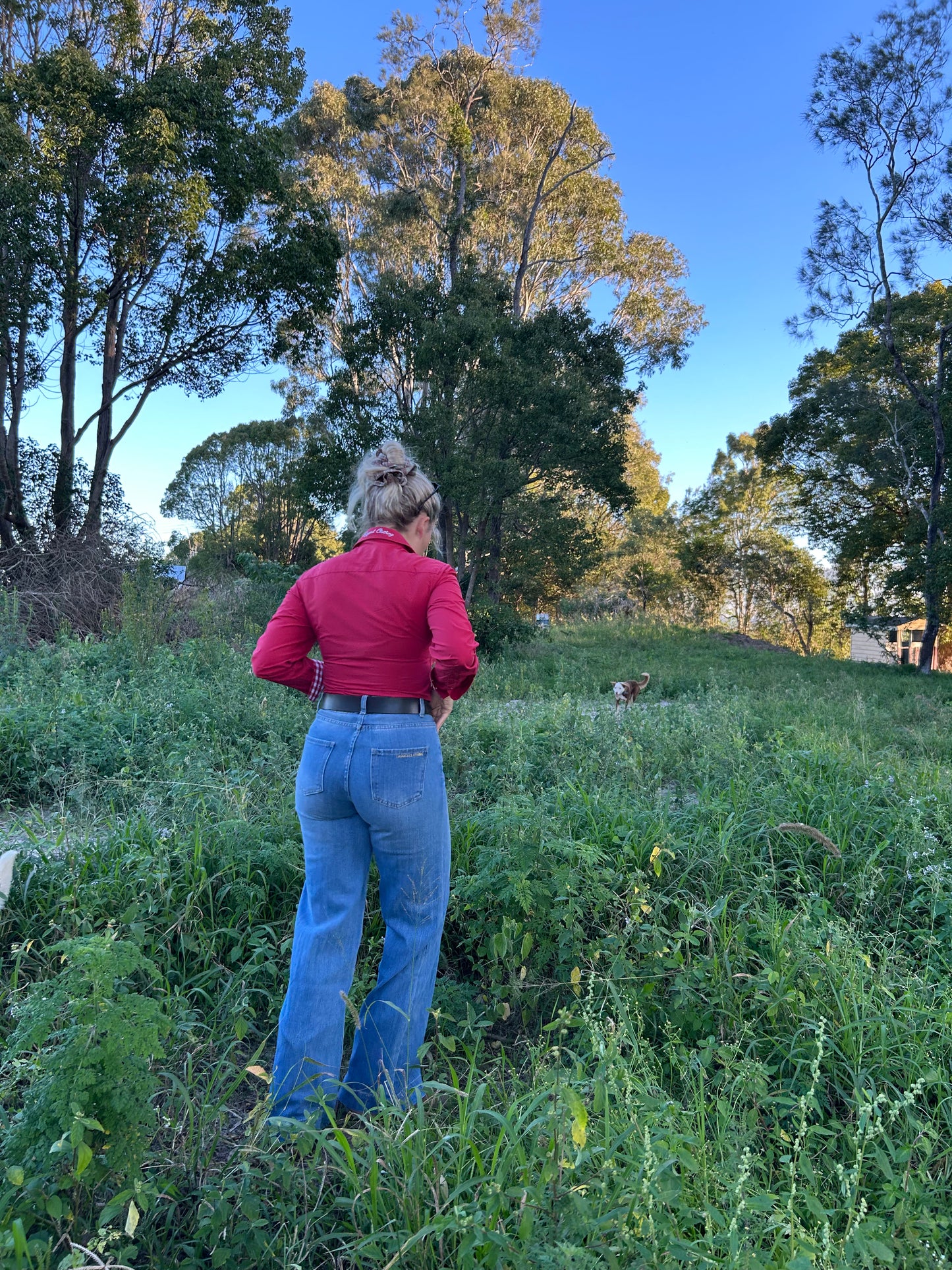 Willow Wide Leg Jeans